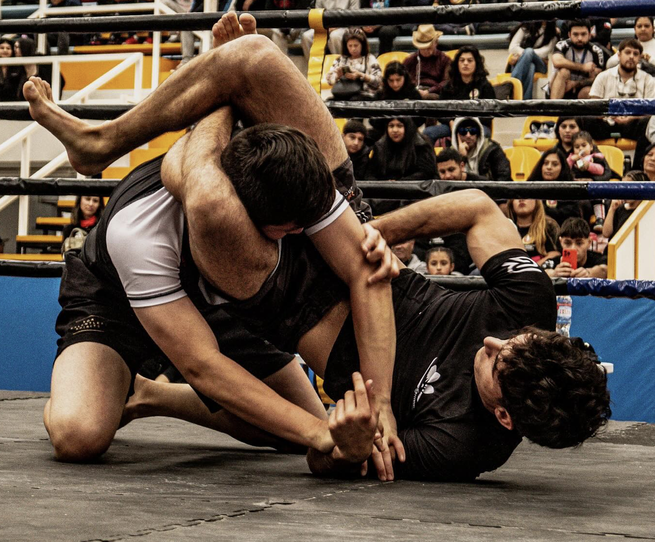 El Camino del Luchador - Lucca Magnolfi en combate